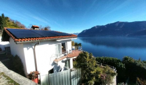 Avalon Brissago